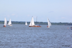 IMG_9667-001