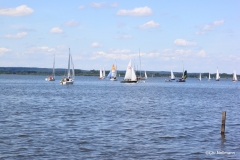 IMG_9799-001